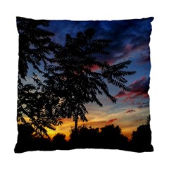 Sumac Sunset Standard Cushion Case (one Side) by okhismakingart