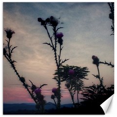 Hazy Thistles Canvas 12  X 12  by okhismakingart