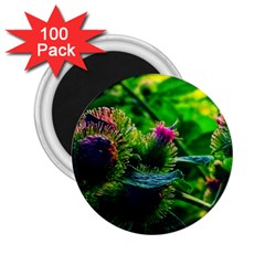 Bur Flowers 2.25  Magnets (100 pack) 