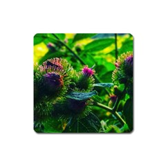 Bur Flowers Square Magnet