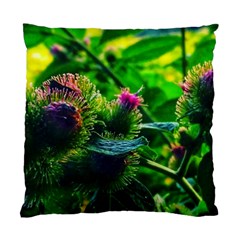 Bur Flowers Standard Cushion Case (Two Sides)