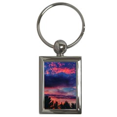 Afternoon Majesty Key Chains (rectangle)  by okhismakingart