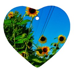 Bright Sunflowers Heart Ornament (two Sides) by okhismakingart