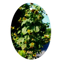 Big Sunflowers Oval Ornament (two Sides) by okhismakingart