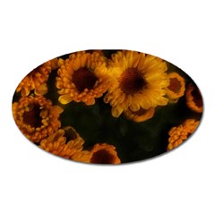 Yellow Flowers Oval Magnet by okhismakingart