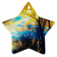 Yellow And Blue Forest Ornament (star)