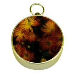 Red Striped Flowers Gold Compasses by okhismakingart