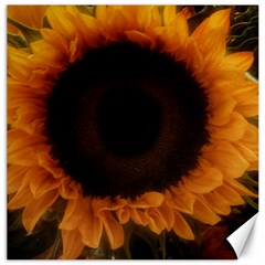 Single Sunflower Canvas 12  X 12  by okhismakingart