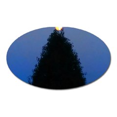 Tree And Moon Oval Magnet