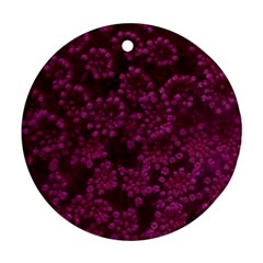 Dark Pink Queen Anne s Lace (up Close) Ornament (round)