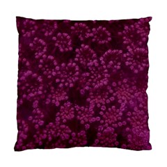 Dark Pink Queen Anne s Lace (up Close) Standard Cushion Case (one Side) by okhismakingart