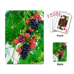 Blackberries Playing Cards Single Design by okhismakingart