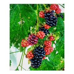 Blackberries Shower Curtain 60  X 72  (medium)  by okhismakingart