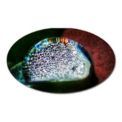 Rainbow Water Droplet Oval Magnet by okhismakingart