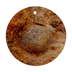 Shell Fossil Ii Ornament (round)
