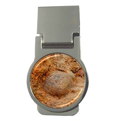 Shell Fossil Ii Money Clips (round)  by okhismakingart