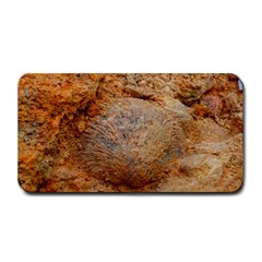 Shell Fossil Ii Medium Bar Mats by okhismakingart