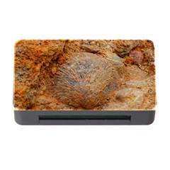 Shell Fossil Ii Memory Card Reader With Cf by okhismakingart