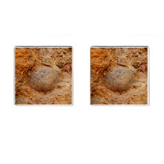 Shell Fossil Ii Cufflinks (square) by okhismakingart