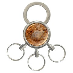 Shell Fossil Ii 3-ring Key Chains