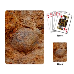 Shell Fossil Ii Playing Cards Single Design by okhismakingart