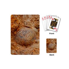 Shell Fossil Ii Playing Cards (mini)