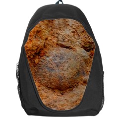 Shell Fossil Ii Backpack Bag by okhismakingart