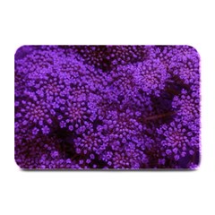 Purple Queen Anne s Lace Landscape Plate Mats by okhismakingart