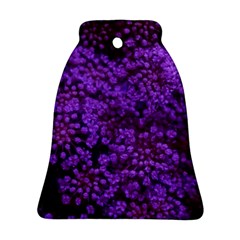 Purple Queen Anne s Lace Landscape Ornament (Bell)