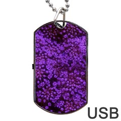 Purple Queen Anne s Lace Landscape Dog Tag Usb Flash (two Sides) by okhismakingart