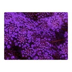 Purple Queen Anne s Lace Landscape Double Sided Flano Blanket (Mini) 