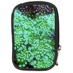 Green Queen Anne s Lace Landscape Compact Camera Leather Case by okhismakingart