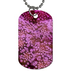 Pink Queen Anne s Lace Landscape Dog Tag (two Sides) by okhismakingart