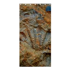 Shell Fossil Shower Curtain 36  X 72  (stall)  by okhismakingart