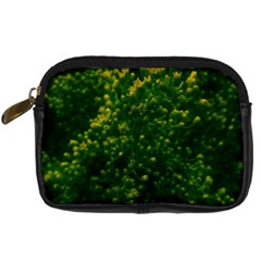 Green Goldenrod Digital Camera Leather Case by okhismakingart