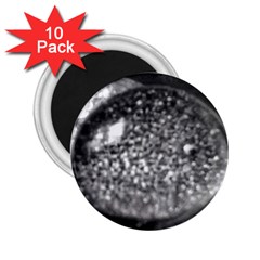 Black-and-white Water Droplet 2 25  Magnets (10 Pack)  by okhismakingart