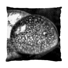 Black-and-white Water Droplet Standard Cushion Case (two Sides) by okhismakingart