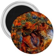 Rainbow Fossil 3  Magnets by okhismakingart