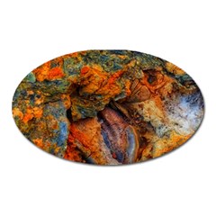 Rainbow Fossil Oval Magnet by okhismakingart