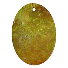 Lake Reflection Oval Ornament (two Sides) by okhismakingart