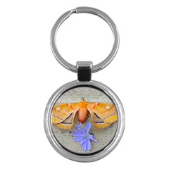 Moth And Chicory Key Chains (round)  by okhismakingart