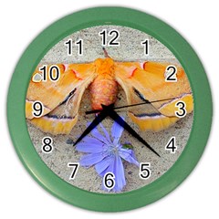 Moth And Chicory Color Wall Clock by okhismakingart