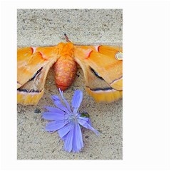 Moth And Chicory Large Garden Flag (two Sides) by okhismakingart