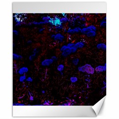 Red-edged Blue Sedum Canvas 16  X 20  by okhismakingart