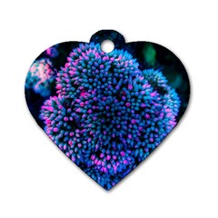 Pink-tipped Sedum Dog Tag Heart (two Sides)