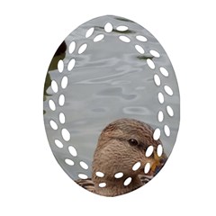 Framed Ducks Oval Filigree Ornament (two Sides) by okhismakingart