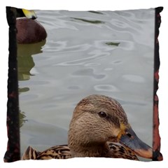 Framed Ducks Large Cushion Case (one Side) by okhismakingart