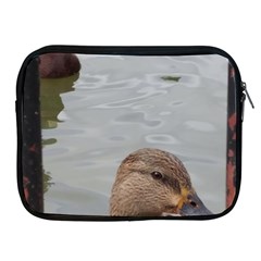 Framed Ducks Apple Ipad 2/3/4 Zipper Cases by okhismakingart