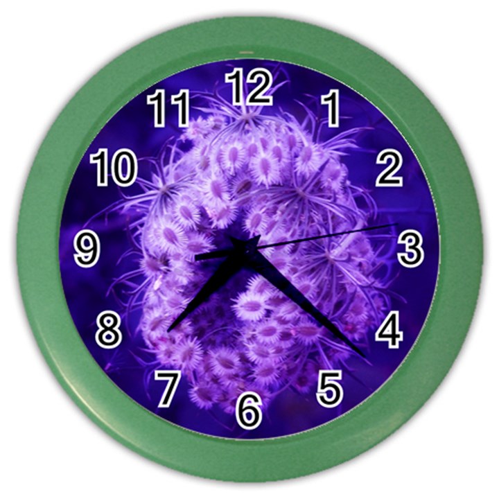 Dark Purple Closing Queen Annes Lace Color Wall Clock