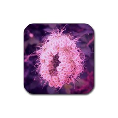 Pink Closing Queen Annes Lace Rubber Coaster (square)  by okhismakingart